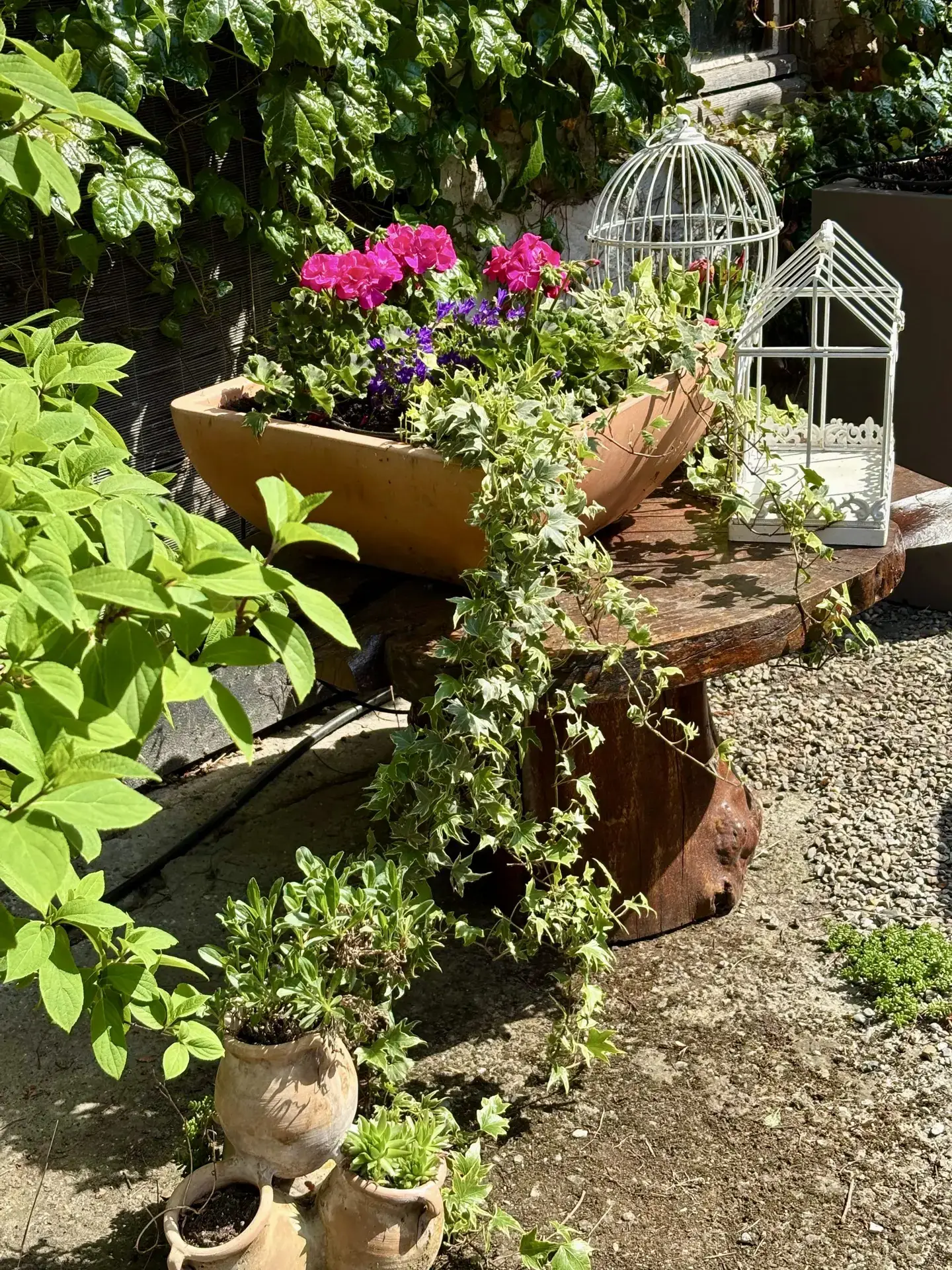 Terrasse-Ambiance-9-scaled.webp
